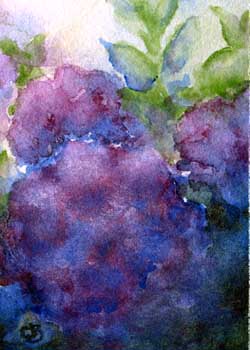 "Hydrangeas" by Cheryl Breunig, Prairie du Sac WI - Watercolor